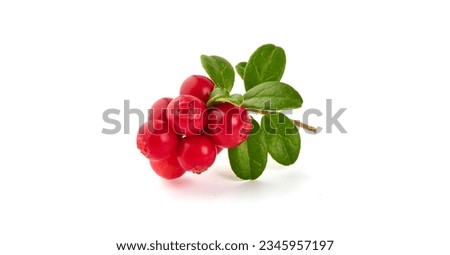 Fresh wild lingonberry with leaves, isolated on white background Royalty-Free Stock Photo #2345957197