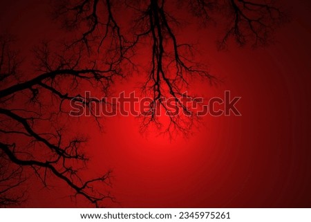 Leafless Oak tree branches silhouette. Black and red. Natural oak tree branches silhouette on a red background. Silhouettes of a dark gloomy forest with textured trees. Gothic background. 