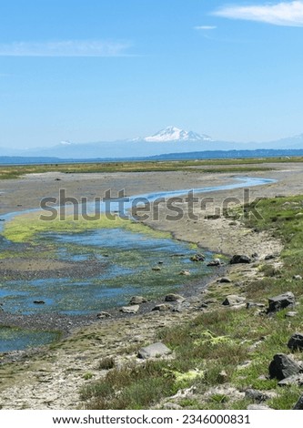 Boundary Bay Park in Tsawwassen, BC with Mount Baker in the distance at low tide