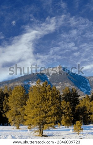 Mt. Humphreys in the winter with snow on top and snow in the foreground, Flagstaff, Arizona Royalty-Free Stock Photo #2346039723