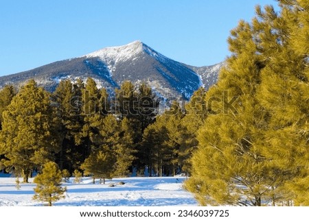 Mt. Humphreys in the winter with snow on top and snow in the foreground, Flagstaff, Arizona Royalty-Free Stock Photo #2346039725