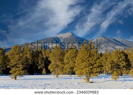 Mt. Humphreys in the winter with snow on top and snow and snowmen in the foreground, Flagstaff, Arizona. Royalty-Free Stock Photo #2346039883