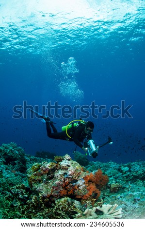 Diver swimming in Banda, Indonesia underwater photo. The diver is taking picture of soft coral Dendronephthya sp.