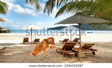 A golden retriever dog is playing on beach. The dog is having a great time and is clearly enjoying the sunshine and the sand. This image is perfect for a travel or pet photography portfolio.