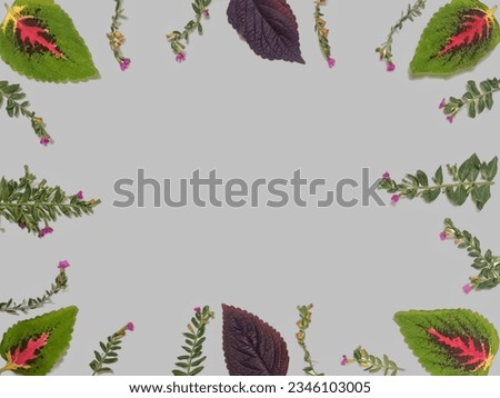 Assorted leaves and flowers border with copy space. Floral frame made of leaves and flowers isolated on grey background. Green leaves, purple flowers. Floral card design. Top view, flat lay.