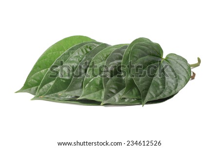 Green betel leaf isolated on the white background. This has clipping path.