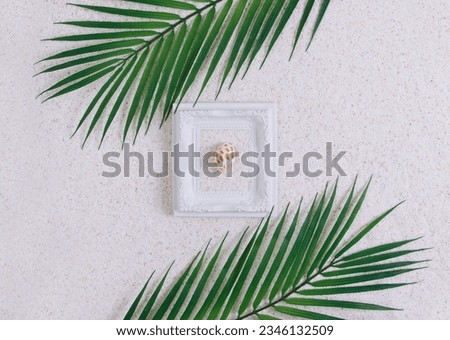 Summer white picture frame with seashell on with a sand background, palm tree and sand. Tropical vacation or holidays concept. Summer memories.