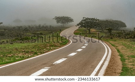Khareef  is a colloquial Arabic term used in southern Oman,, southeastern Yemen, southwestern Saudi Arabia and Sudan for the southeastern monsoon.  Royalty-Free Stock Photo #2346133617