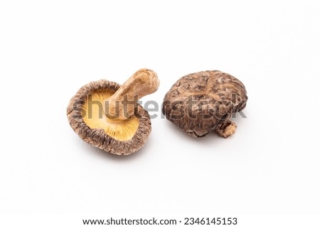 Dried shiitake mushrooms on white background.