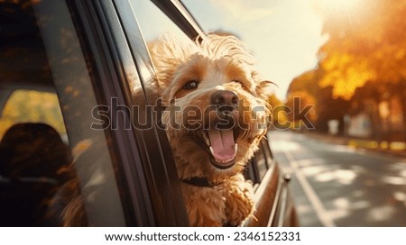 happy dog in the car window with the wind Royalty-Free Stock Photo #2346152331