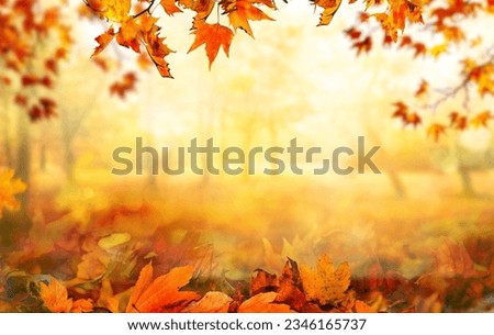 orange fall  leaves in park, sunny autumn natural background  Royalty-Free Stock Photo #2346165737