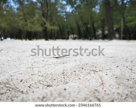 Sand at Pra Ya Na Korn cave. take picture on Aug, 12, 2023.