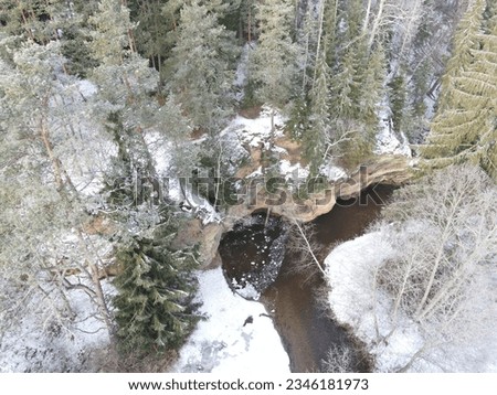 forest wild river in winter
