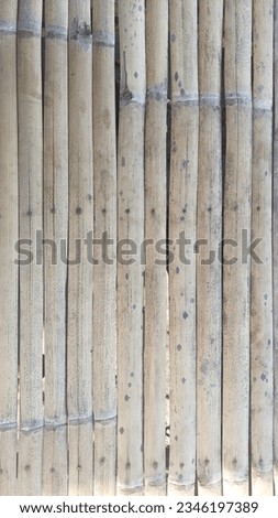 Structure, Texture, Background of Bamboo
