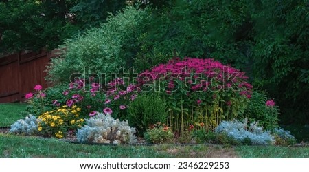 Gorgeous flower garden with artemisia absinthium, cleome or spider flowers, daises, coneflowers, bee balm or monarda, and blanket flowers on a summer morning in Taylors Falls, Minnesota USA. Royalty-Free Stock Photo #2346229253