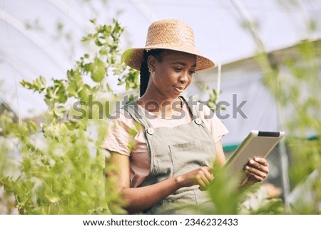 Gardening, research on tablet and black woman on farm checking internet website for information on plants. Nature, technology and farmer with digital app for sustainability, agriculture and analysis.