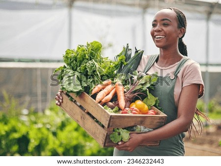Woman, farming and vegetables in greenhouse for agriculture, supply chain or business with green product in basket. Happy African farmer or supplier with gardening for NGO, nonprofit or food security Royalty-Free Stock Photo #2346232443
