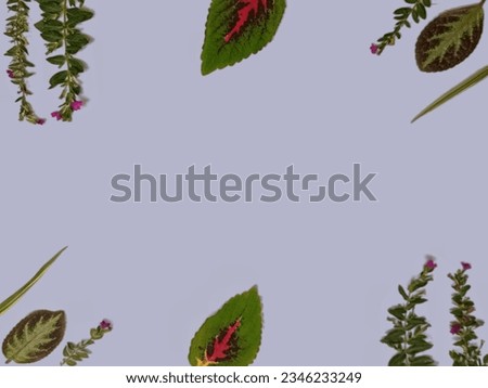 Floral frame made of leaves and flowers isolated on lavender background. Green brown leaves, purple flowers. Assorted leaves and flowers border with copy space. Floral card design. Top view, flat lay