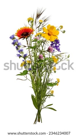 Summer bouquet of meadow wildflowers and herbs isolated on white background. Royalty-Free Stock Photo #2346234007