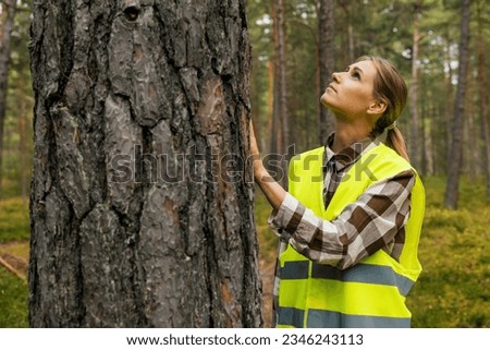 forest inspection and management, renewable resources. female forestry technician checking quality of pine tree Royalty-Free Stock Photo #2346243113