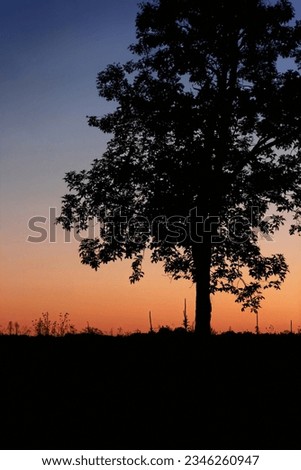 is photo shows a silhouette of a tree against a colorful sunset sky. The sun is setting in the background, and its rays are shining through the clouds, creating a beautiful and colorful effect.