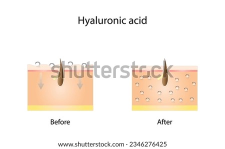 Hyaluronic acid. Low molecular hyaluronic acid. anti-aging therapy, skincare products. Vector illustration.