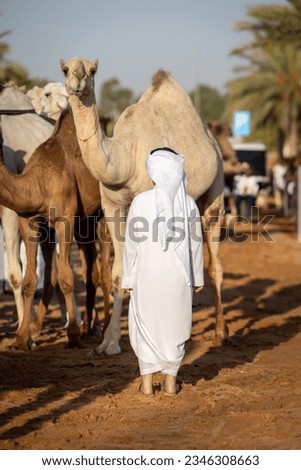 Little saudi arabian kid standing in front of a camel in the Qassim camel market Royalty-Free Stock Photo #2346308663