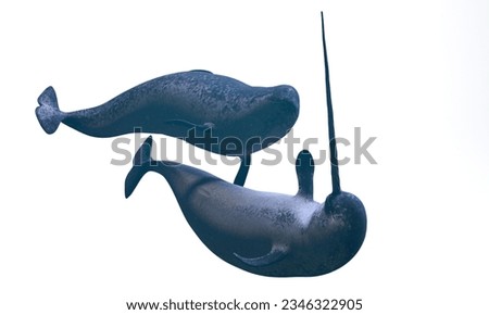 Narwhal: Males engage in aggressive "sword fights" with their tusks.