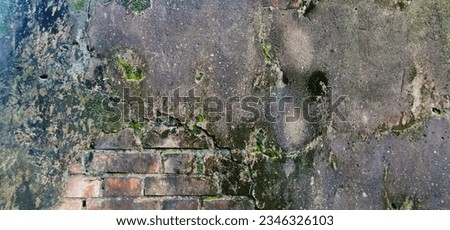 The black brown grunge ancient brick wall with growing green moss. Sharp, vibrant, high resolution photo best for background,  wallpaper and printing.