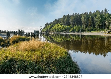 Evergreen trees and old pilings line the Moclips River in Washington State. Royalty-Free Stock Photo #2346348877
