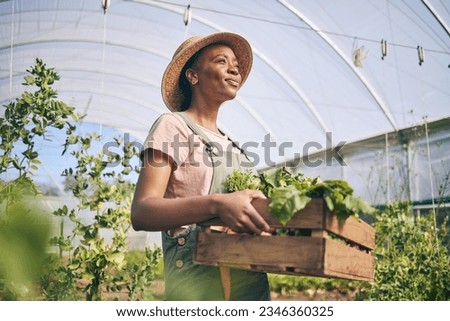 Smile, greenhouse and black woman on farm with vegetables in sustainable business, nature and sunshine. Agriculture, garden and happy female farmer in Africa, green plants and agro farming in field. Royalty-Free Stock Photo #2346360325