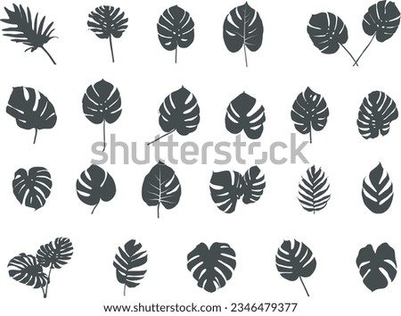 Tropical leaves silhouette, Tropical palm leaves vector, Leaves silhouette, Leaf icon, Tropical leaves vector