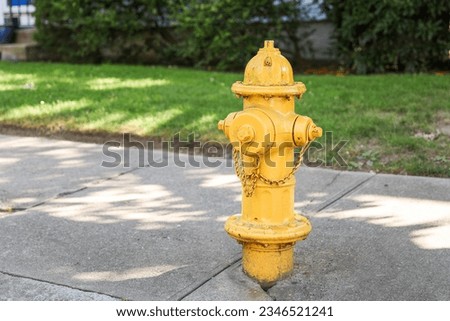  fire hydrant on a city street, a crucial icon of safety and preparedness, symbolizing firefighting readiness and urban protection