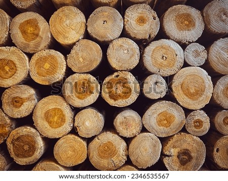 Stacked wood texture for background. Pile of wood logs ready for winter - landscape exterior. Close up of wooden background.