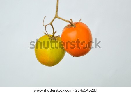 Tomatoes isolated on white background. with clipping path. Full depth of field.