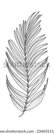 Black outline of a large palm leaf on a white background. Botanical object for coloring books, decor, covers, patterns and designs.