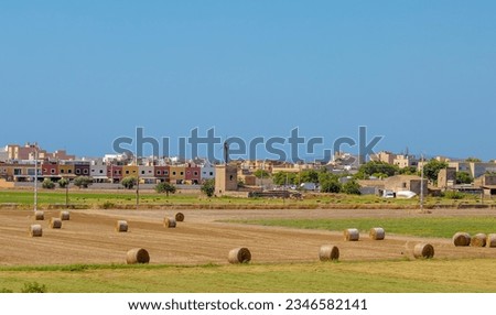 Rolled hay on a yellow field for feeding domestic animals against the background of tall buildings of the city. Rolled dried hay on a lawn and a barn outside the city, a billet for feeding farm animal