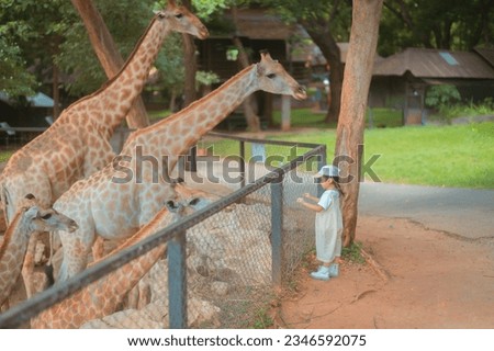 cute baby girl in dress and hat with activity feed food giraffe with happy time on outdoor