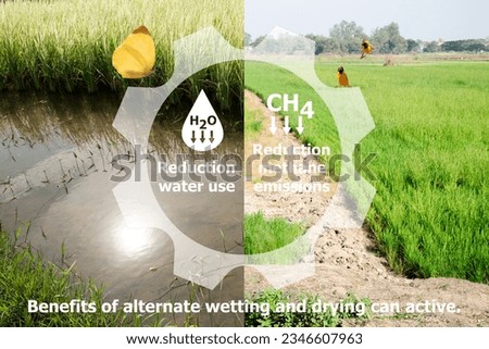 Benefits of alternate wetting and drying can active: reduction water use and reduction methane emission and icons. Royalty-Free Stock Photo #2346607963