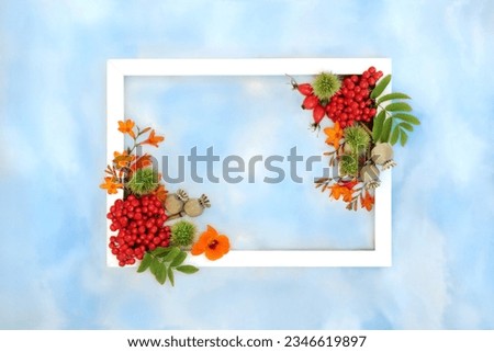 Thanksgiving and Autumn fruit and flower background border with white frame on blue sky and cloud. Festive harvest floral fall nature concept for label, card, invitation, menu.