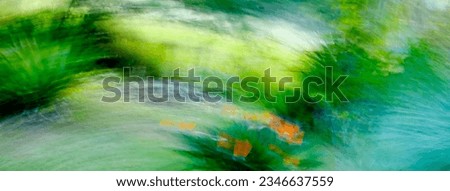 Tropical flower in the rainforest, wild flower, bird of paradise, strelitzia, green and orange vivid colors, intentional movement, picture in motion, abstract Royalty-Free Stock Photo #2346637559
