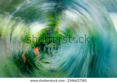 Tropical flower in the rainforest, wild flower, bird of paradise, strelitzia, green and orange vivid colors, intentional movement, picture in motion, abstract Royalty-Free Stock Photo #2346637585