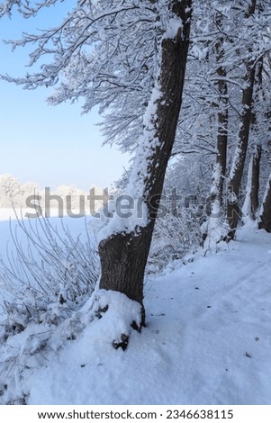 A beautiful white winter landscape with snow and trees