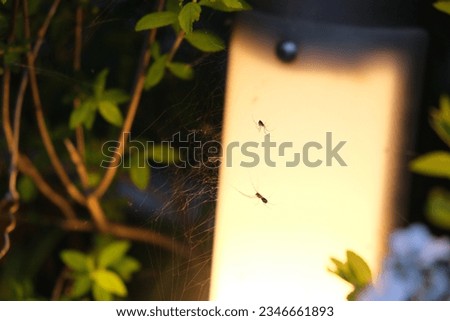 a lamp shining light in the dark with bugs