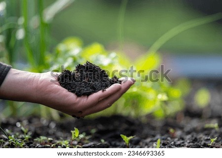 Female farmer holding soil, doing soil tests in her home laboratory. Looking at soil life and health Royalty-Free Stock Photo #2346693365