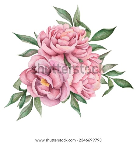 Watercolor composition of flowers, hand painted peonies and leaves isolated on white background.