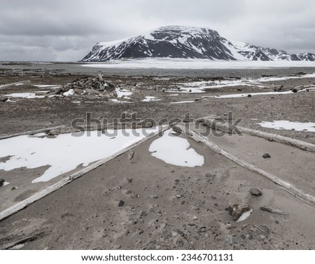 Converging driftwood; Siberia; Smeerenburg, Spitzbergen