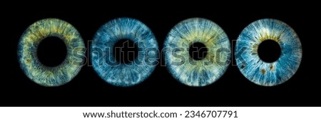 Close up of eye iris on black background, macro, photography. Royalty-Free Stock Photo #2346707791