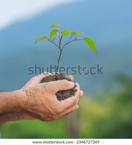 adamın elinde ki fidan, doğayı koru farkındalık. Translation : sapling in man's hand, protect nature awareness