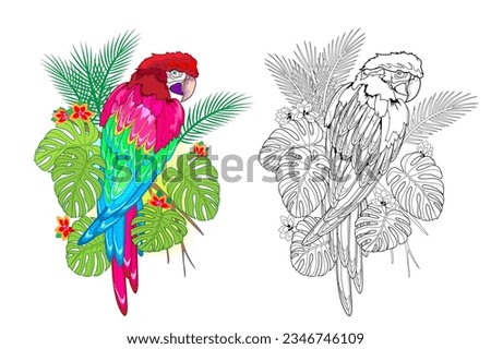 Colorful and black and white page for coloring book. Illustration of cute parrot. Printable worksheet for children exercise book. Online education. Clip-art cartoon vector. Animals for kids.